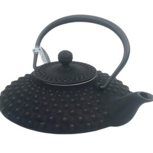 Théière japonaise en fonte Hira Arare 0,8 Litre