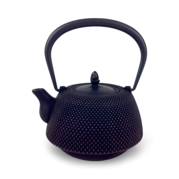 Théière japonaise en fonte noir et or, modèle Nanbu Arare de la marque Iwachu, capacité 1 litre