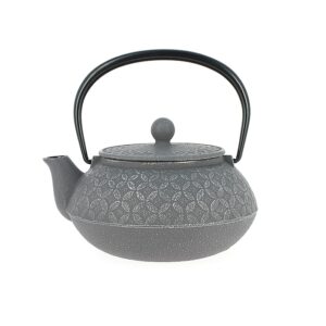 Théière japonaise en fonte classique 0,6 litre