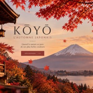 Collection Kooyo